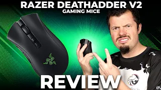 Razer Deathadder V2 x Hyperspeed Review - The double up refresh we never knew we needed...