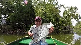 Crappie Fishing With Curly Tail Jigs