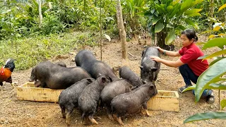 FULL VIDEO : 45 Days of building a farm, raising chicken, raising pig, gardening, living with nature