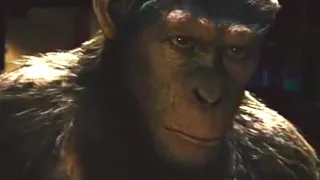 Rocket Dá Biscoitos Para os Chimpanzés | Planeta dos Macacos: A Origem (2011) DUBLADO HD
