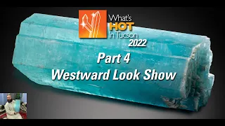 What’s Hot In Tucson: 2022 - Part 4 - The Westward Look