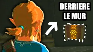 Réussir ce GLITCH m'a pris 1 HEURE dans Zelda BOTW