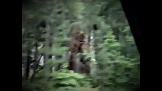 World Bigfoot TV/Montana Bigfoot Project ~  June 2023 Field Report/ Bigfoot in 3 Mountain Ranges