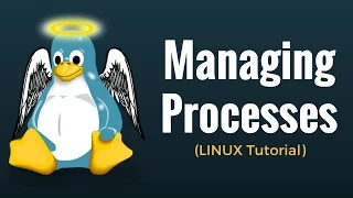 Управление процессами - Linux Tutorial 13