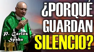 NO SE DICE, LO QUE HAY QUE DECIR - P. Carlos Spahn