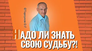 Надо ли знать свою судьбу? Торсунов лекции