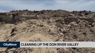 Cleaning up the Don River Valley