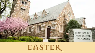 Easter Vigil | 4/16/2022 | 8:00pm Easter Vigil