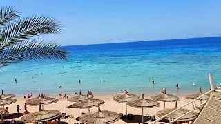 جولة في ريف أواسيس بيتش ريزورت/سنتيدو شرم الشيخ (Reef Oasis Beach Resort)/ Sharm El Sheik sentidio