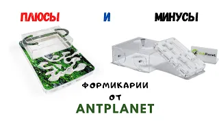 Обзор формикарий от AntPlanet. Плюсы и минусы.