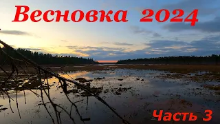 ВЕСНОВКА 2024  Часть 3  ХОЛОДА ВЕРНУЛИСЬ  ИСПЫТАНИЯ НА ПРОЧНОСТЬ