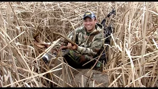 GIANT 165" Marsh Buck | Public Land WI | Behind the Bow