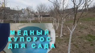 Обработка плодовых деревьев медным купоросом! МІДНИЙ КУПОРОС ДЛЯ САДУ!