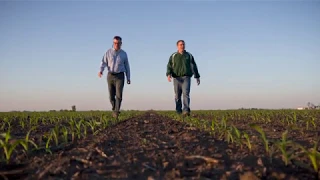 How to Manage Your Nitrogen on Your Corn Acres