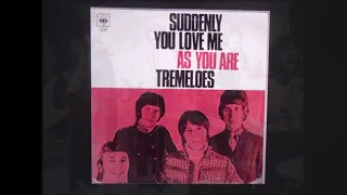 TREMELOES stereo mix 2023    " Suddenly You Love Me "