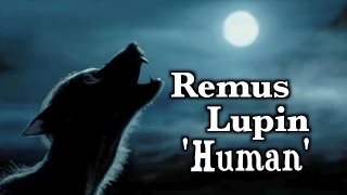 Remus Lupin | 'Human'