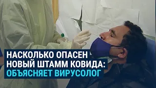 Американский вирусолог – о новом штамме ковида "омикрон"