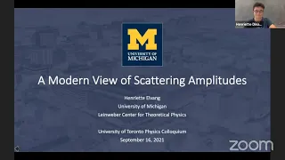 A Modern View of Scattering Amplitudes