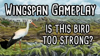 Wingspan Gameplay | Is the White Stork too OP?