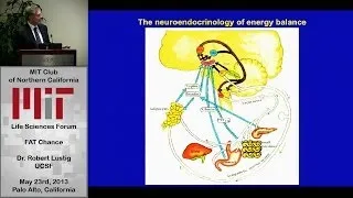 FAT Chance - Dr. Robert Lustig