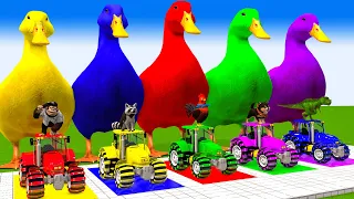 5 Giant Duck, Monkey, Piglet, chicken, dog, cat, lion, cow, Sheep, Transfiguration funny animal 2024