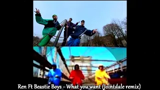 Ren - What You Want Ft Beastie Boys Pt1 ( Jointdale Remix )