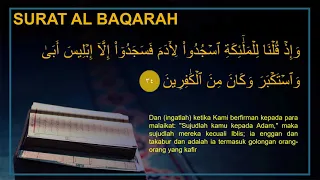 Surat Al Baqarah Ayat 26-50 (Sinau Baca Al Qur'an)