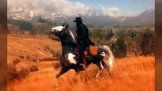 Rdr 2 l Missouri Fox Trotter l Edit