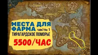 (ТП-1) Фарм голды WOW BFA 8.2.5. 5500 в час