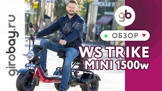 Электроскутер WHITE SIBERIA TRIKE MINI 1500W - тяговитый помощник в хозяйстве. Уникальный скутер!