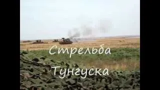 Стрельба Чауда