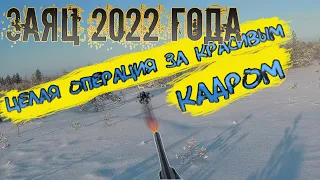 Первый заяц 2022 года | Тропление зайца зимой | Охота на зайца 2022