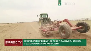 Викрадали і вивозили до Росії український врожай: у Запоріжжі СБУ викрило схему