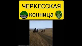 Circassian cavalry. Черкесская конница