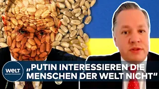 UKRAINE-KRIEG: Humanitäre Konsequenzen? So zynisch denkt Putin - Terhalle zu Getreideexporte