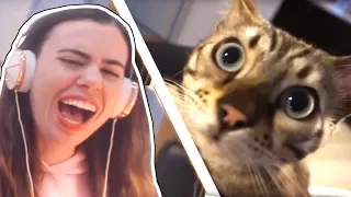 REACTING TO FELIX THE CAT OPENING OUR SURPRISE GIFTS!!! - CRAINER & THEA'S CAT!