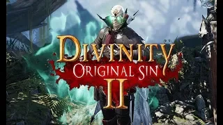 Divinity Original sin 2 - a painful masterpiece