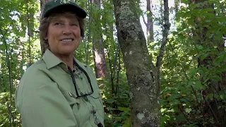 Air Pollution & Lichens: A Tour of the Columbia River Gorge