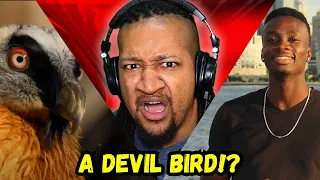 The Psychopathic Hunting Habits of Satan's Favorite Birds | Reaction!