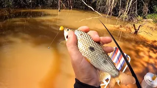 VARINHA DE MÃO DA BARRANCA DO RIO! PEGAMOS MUITO PEIXE, FIZEMOS FRITO E MOQUECA NA HORA! Pescaria.