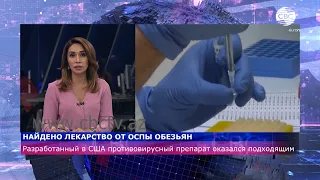 Найдено лекарство от оспы обезьян