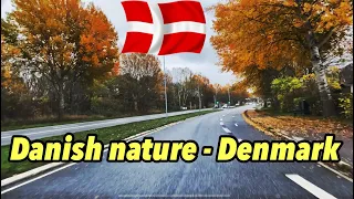 Danish nature - Denmark || 2022 - Driving In Denmark || 4k UHD 60fps