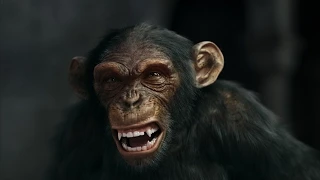 Angry Ape - Full CGI 3D chimpanzee