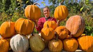 Azerbaijani Pilaf in Pumpkin! Incredibly Healthy Rustic Dish