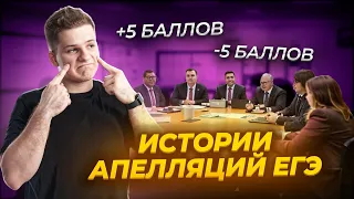 Апелляция на ЕГЭ, как подать и оспорить баллы? Мой опыт с ЕГЭ 2023