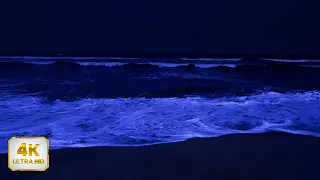 Relax 8 Hours with the Ocean |  Ocean Waves Gently Patting The | Ideal for Sleep 4K Video