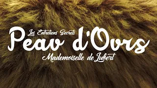 Peau d'Ours, Mademoiselle de Lubert (Conte Audio)