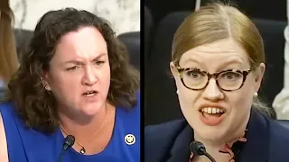 Conservative Tries To Insult Katie Porter... IMMEDIATELY Regrets It