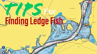 Tips For Finding Summertime LEDGE FISH On River Reservoirs