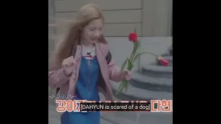 dahyun scared of dogs#shorts #twice